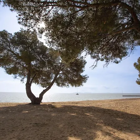 Les Caraibes By Interhome * La Londe-les-Maures